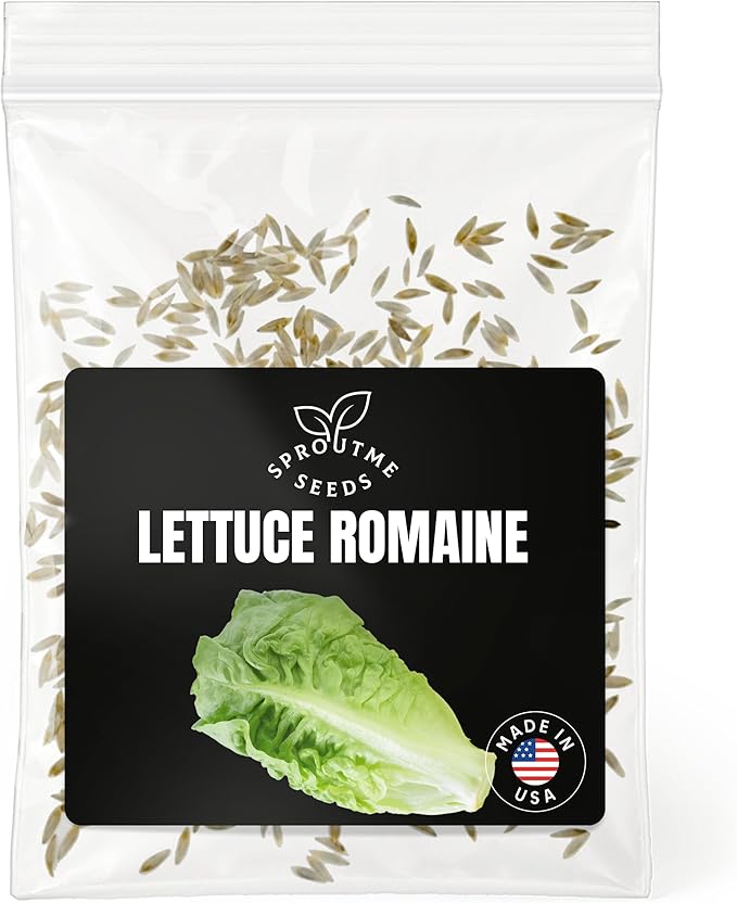 Fall & Winter Lettuce Romaine Seeds for Indoor & Outdoor Planting – 500+ Non-GMO Heirloom Crisp Sweet Cos Lettuce, High Germination (Lactuca Sativa)