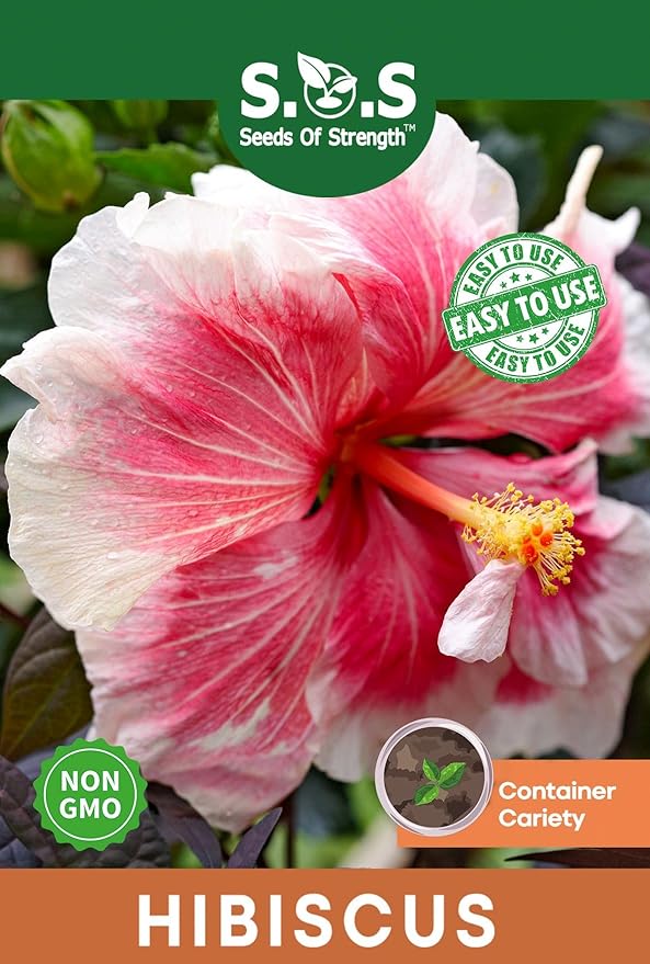 Premium Hibiscus grandiflorus Seeds for Planting – 100+ Non-GMO Heirloom Seeds for Giant Tropical Blooms – Fast-Growing, Easy to Cultivate