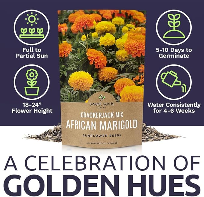 African Marigold Seeds Crackerjack Mix - Bulk 1/4 Pound Bag - Over 40,000 Seeds - Huge Orange and Yellow Blooms
