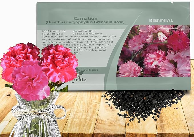 Outsidepride Rose Carnation Seeds - 2000 Pcs Biennial, Easy to Grow Flower Seeds for Planting with Fragrant Blooms, Ideal for Pollinators, Cutting Gardens, Bouquets, & Floral Arrangements