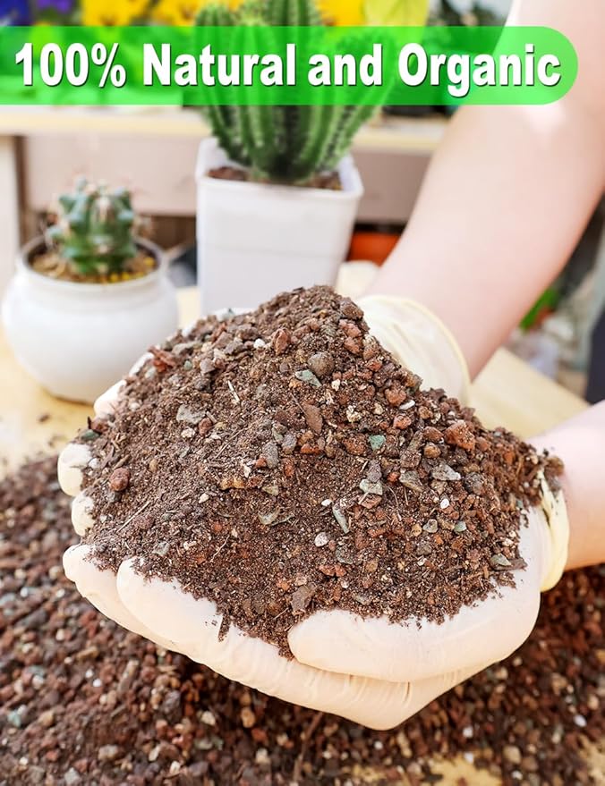 TOYPOPOR Succulent Soil, Cactus Potting Mix 12.5 Pounds/10QTS, High Drainage, Pre-Mixed Ready to Use for All Succulent Varieties, Indoor Plants, Bonsai, Terrarium, Houseplant, 30% Particles 70% Soil