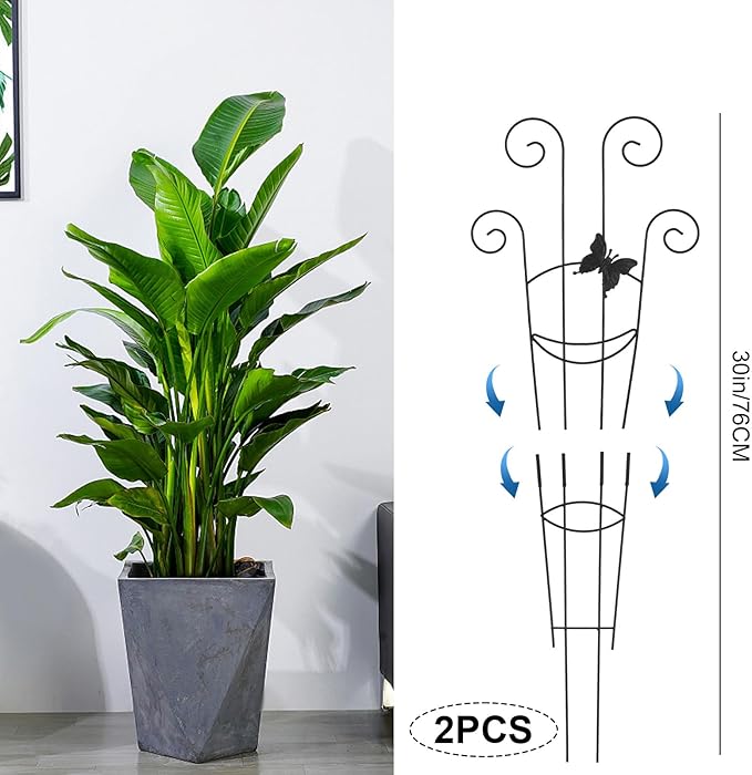 2 Pack Trellis for Climbing Plants Indoor, 30In Monstera Plant Support Structures, Plant Trellis for Potted Plants Stakes, Metal Climbing Support Outdoor for Ivy Pothos Monstera Hoya Flower, Butterfly