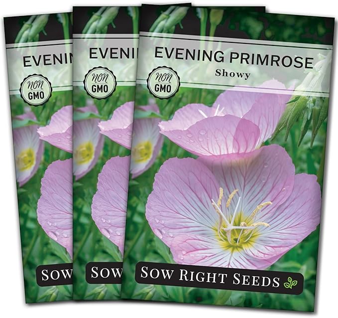 Sow Right Seeds - Showy Evening Primrose Flower Seeds for Planting - Non-GMO Heirloom Packet with Instructions - Native Wildflower for Pollinators - Perennial Pink Ladies, Mexican Evening Blooms (3)
