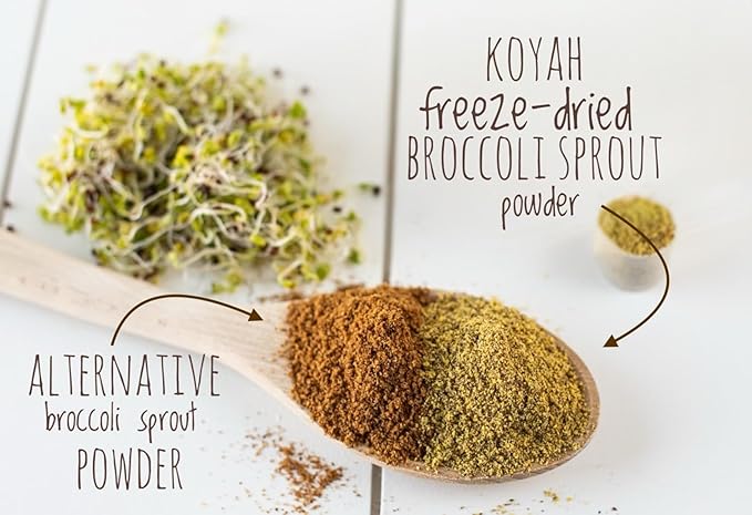KOYAH - Organic USA Broccoli Sprout Powder (1 Scoop = 1/4 Cup Sprouts): 36 Servings, Freeze-Dried, Tested for Active Myrosinase and Glucoraphanin (Sulforaphane Glucosinolate)