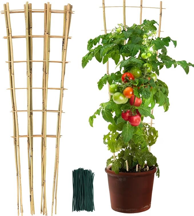 SWANGSA 6 Pack 4Ft Bamboo Trellis for Climbing Plants, Fan-Shaped Garden Ladder Trellis with 100pcs Twist Ties for Outdoor and Indoor Plant Support, Potted Plants, Cucumber, Tomato, Vine