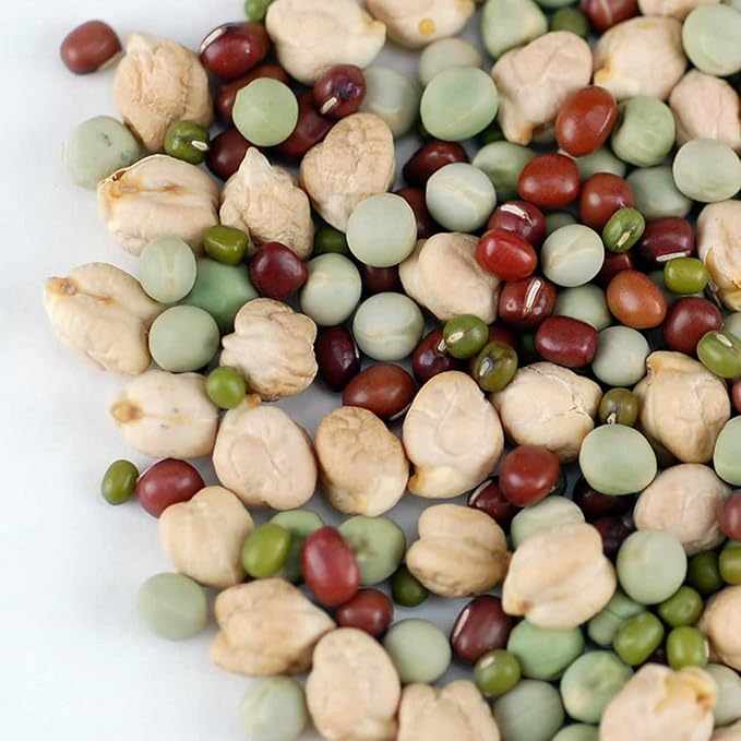 Handy Pantry Protein Powerhouse Sprouting Seed Mix: 4.5 Lb - Organic, Non-GMO - Sprouting Sprouts, Food Storage. High Protien Sprouts - Pea, Mung, Green Pea, Adzuki