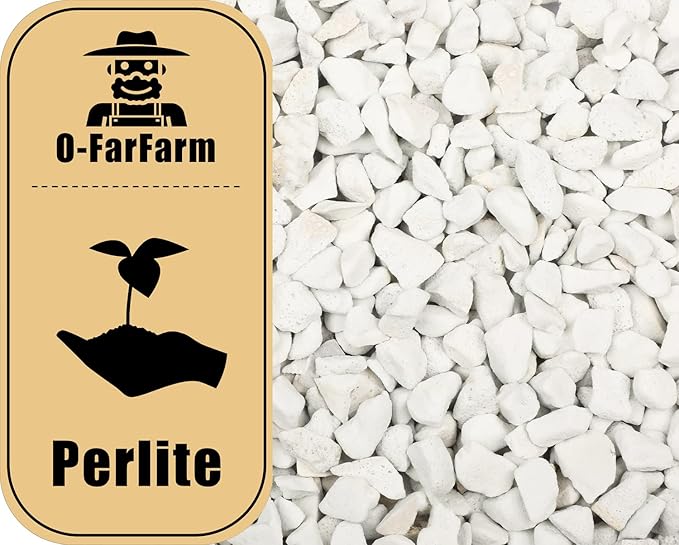 Chunky Perlite Bulk, Horticultural Pearlite Coarse Perlite for Plants Indoor, Additive Conditioner Mix, Improve Drainage and Ventilation, Help Root Growth (5-10mm, 2qt)