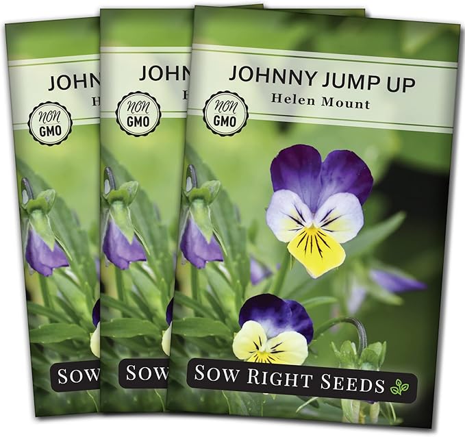 Sow Right Seeds - Violet, Johnny Jump-Up Flower Seed for Planting - Beautiful Flowers to Plant in Your Garden - Non-GMO Heirloom Seeds - Perfect for Spring Containers - Attract Pollinators (3)
