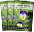 Sow Right Seeds - Violet, Johnny Jump-Up Flower Seed for Planting - Beautiful Flowers to Plant in Your Garden - Non-GMO Heirloom Seeds - Perfect for Spring Containers - Attract Pollinators (3)