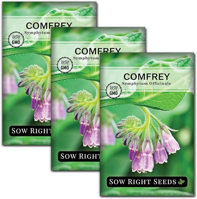 Sow Right Seeds - Comfrey Seeds for Planting - Non-GMO Heirloom Packet with Instructions to Plant an Outdoor or Indoor Herb Garden - Roots & Leaves for Home Remedies - Medicinal Salve, Oil, Tea (3)