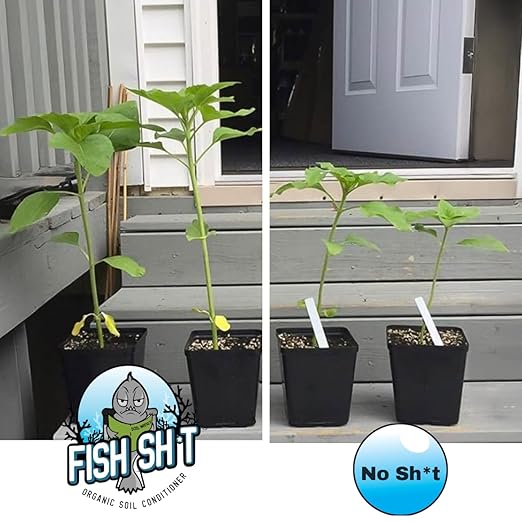 Fish Head Farms Organic Soil Conditioner for Yield and Flavor Enhancement. Improves Fertilizer Efficiency. Useful in Both Garden Soil and Hydroponics Applications 120 mililiters