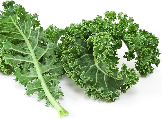 Kale Garden Seeds - Vates Blue Scotch Curled - 1 Lb - Non-GMO, Heirloom- Vegetable Gardening & Microgreens