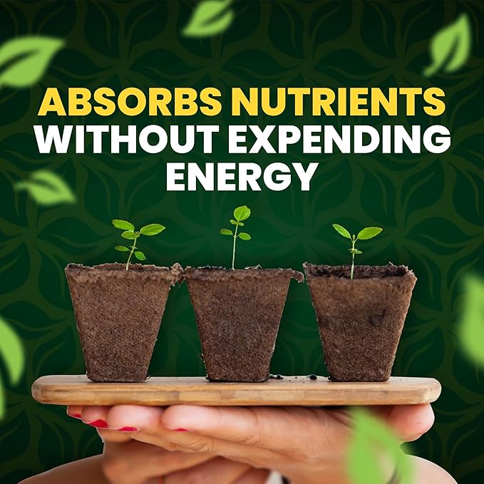 GreenGro Green Aminos, Rooting Stimulator Blend with Amino Acids and Nutrients for Potting Mix, Soils, Cuttings, and Hydroponic Gardens, Organic Plant Food for Indoor and Outdoor Plants