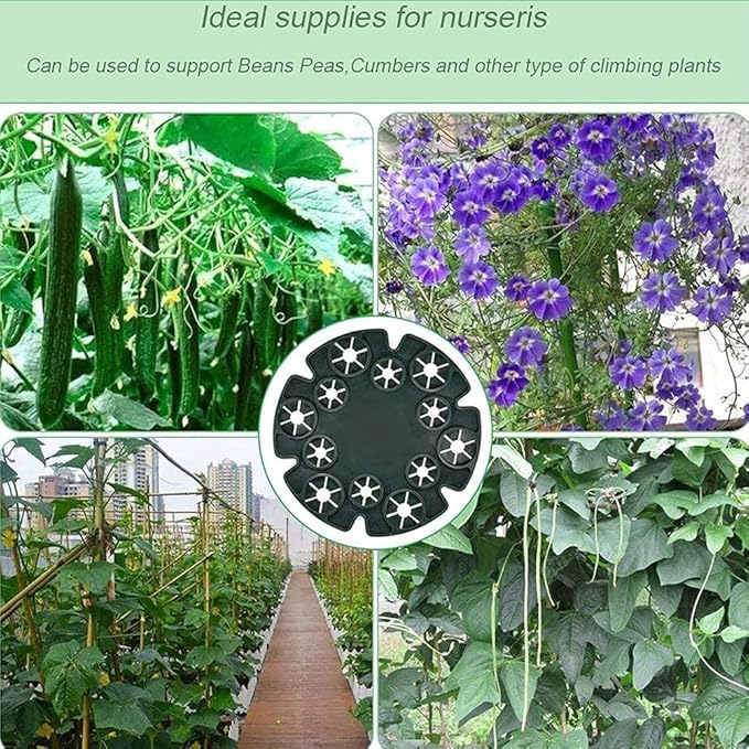 TopHomer 1 Pack Bamboo Cane Holder Wigwam Grip Support Caps with 12 Holes for Climbing Plants Peas Beans Sweet Pea Tomatoes Cucumbers Support Structure