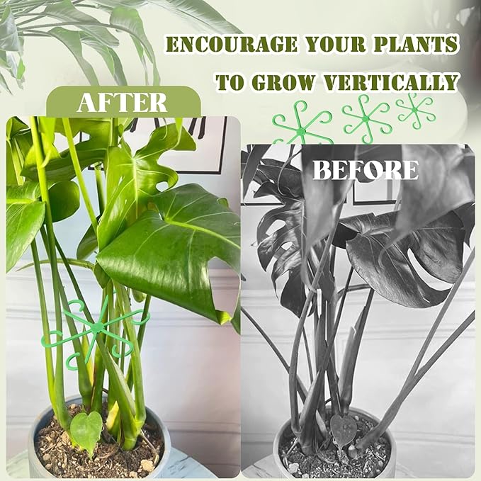 4Pcs Plant Stem Supports, Reusable Plastic Plant Accessories Indoor, Monstera Plant Support for Climbing Houseplants, Stakes Trellis Stem Hook Growth Tools for Neat Garden Arrangement(Green)