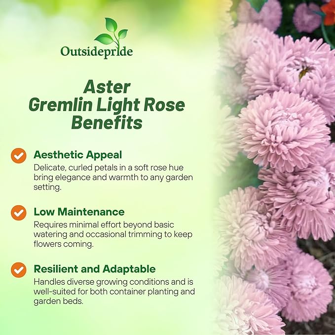 Outsidepride Gremlin Aster Seeds - 1000 Pcs. Annual, Hardy & Pollinator Friendly Flower Seeds for Planting Vibrant Light Rose Blooms and Oval-Shaped Leaves, Great for Meadows & Aesthetic Gardens