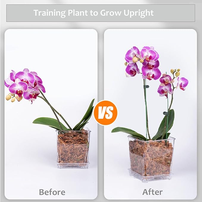 165Pcs Adjustable Plant Stakes, 30Sets Garden Plant Support Sticks, 30Pcs Fiberglass Plant Pole Stand, 60Pcs Rings, 60Pcs Clips, 15Pcs Connectors for Potted Plant Flower Tomato Orchid Vegetable
