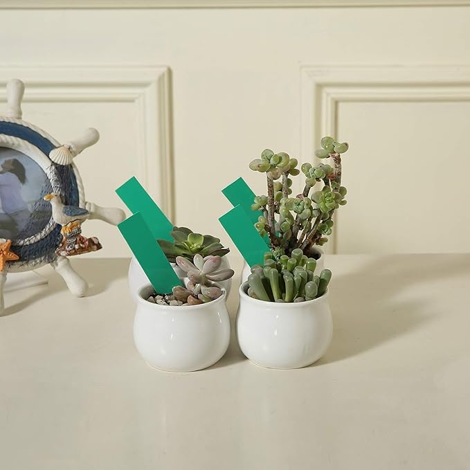 1000 Pcs 4 Inch Garden Plant Labels, Plastic Nursery Tags Waterproof Pot Seed Markers, Green
