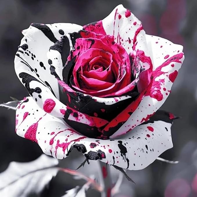 150+ Rare Rose Seeds for Planting - Heirloom Rose Seeds Bushes Gardening Bush Vine Climber Long-Blooming Beautiful Flower Potted Plant Home Garden