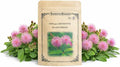 1000+ Sensitive Plant Seeds for Planting – Mimosa Pudica Touch Me Not Seeds, Interactive Folding Leaves Flower Plant for Garden & Indoor Growing