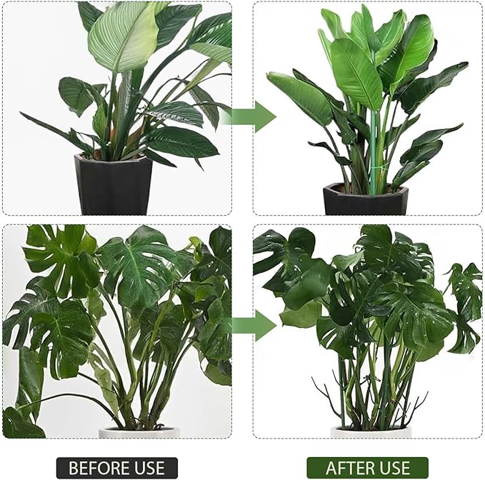 Upgrade Stackable Monstera Plant Support,2026 New Durable Garden Plant Support Stakes for Indoor Outdoor Potted Plants,Garden Accessories Plant Sticks for Vine Training Stem Stabilization (10, Green)