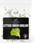 Fall & Winter Lettuce Green Oakleaf Seeds for Indoor & Outdoor Planting – 500+ Non-GMO Heirloom Tender Leaf Lettuce, High Germination (Lactuca Sativa)