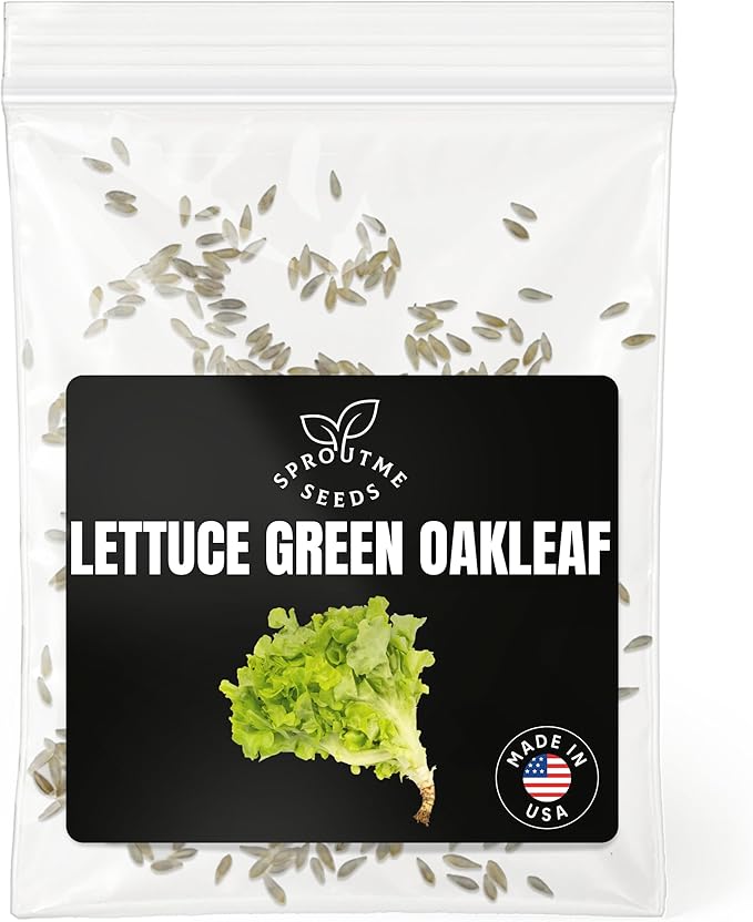 Fall & Winter Lettuce Green Oakleaf Seeds for Indoor & Outdoor Planting – 500+ Non-GMO Heirloom Tender Leaf Lettuce, High Germination (Lactuca Sativa)