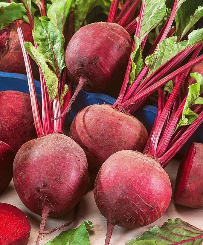CEMEHA SEEDS - Seeds Beet Red Ball Round Beetroot Dark Non GMO Vegetable for Planting