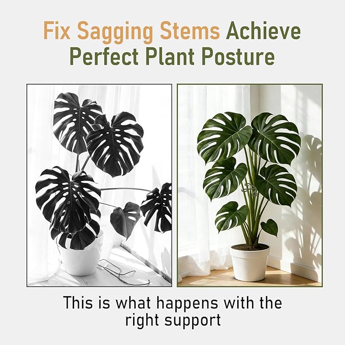 24PCS Forest Green Plant Stem Support, Invisible Stem Supports for Indoor Plants, Monstera Plant Support for Healthy Growth, 4 Sizes Climbing Houseplant Holders, Reusable Plant Accessories