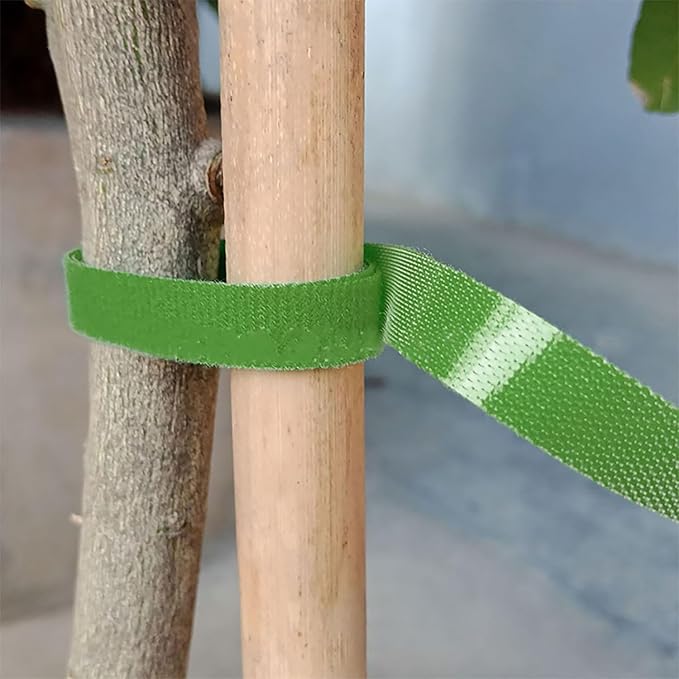 2Pcs Green Plant Tape Garden Tapes, 10ft Plant Ties Tape Garden Ties for Climbing Plants Adjustable for Plants Outside Plant Supports,Plant Support Structures