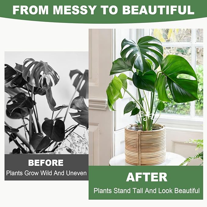 32 Pack Upgraded Plant Stem Support, Monstera Plant Support, Nearly Invisible Support for Indoor Plants, Reusable Stem Holders, 4 Sizes Plants Accessories, Plant Stabilizer Indoor