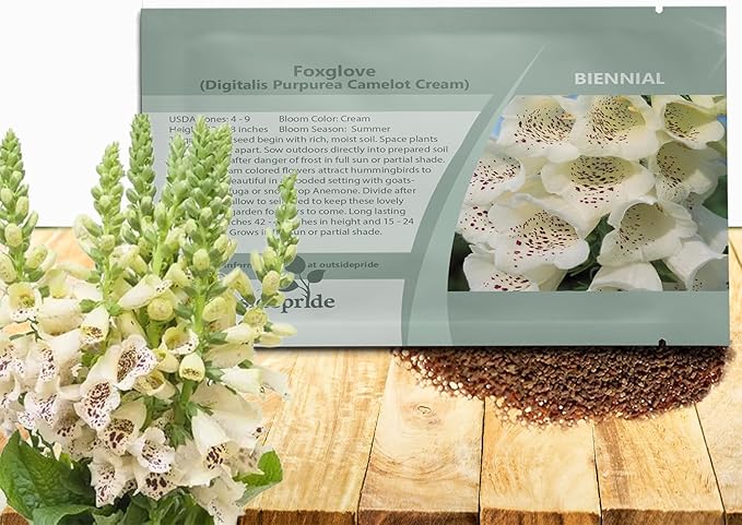 Outsidepride Digitalis Purpurea Camelot Cream Foxglove Seeds – 25 Pcs Biennial, Prolific, Tall Growing Flower Seeds with Pollinator-Friendly Blooms for Shaded Gardens & Outdoor Landscapes