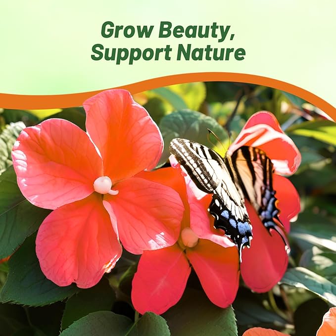 Outsidepride Xtreme Hot Mix Impatiens Flower Seeds - 75 Pcs Annual, Compact & Pollinator Friendly, Impatiens Seeds for Planting w/Vibrant, Abundant Blooms for Shade Gardens & Container Displays