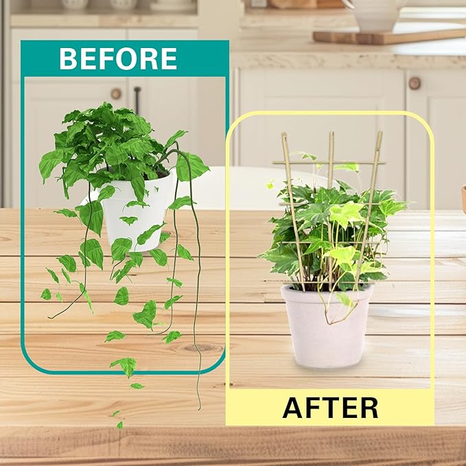 Bamboo Trellis 10 Pack, 48 Inches/4FT S3 Natural Bamboo Plant Fan Stakes, Fan-Shaped Plant Support Stand for Orchid Vines, Monarchs, Ivy and Other Plants Climbing, Help Plant Growth