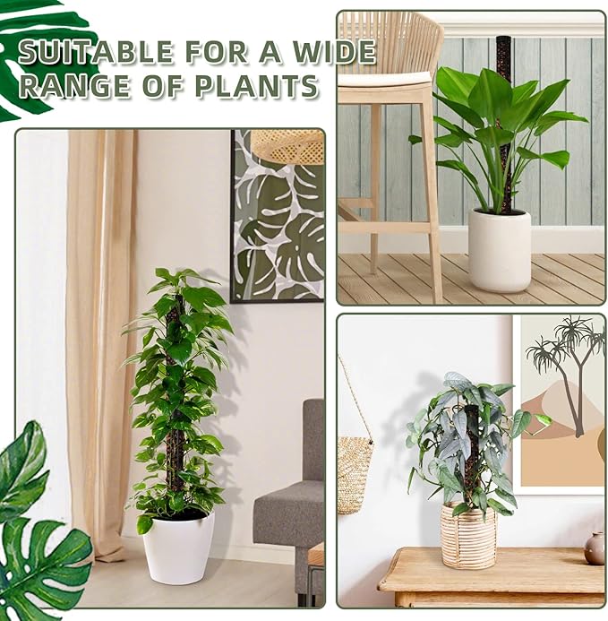 Small Moss Pole for Monstera - Stackable & Refillable Plastic Moss Poles for Climbing Plants with Large Mesh Design (4Pack-Black-Small)