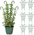 6PCS Indoor Small Trellis,Stackable Plant Trellis for Indoor Climbing Plants,Small Plant Climbing Trellis for Potted Plants Plastic Climbing,Potted Plant Trellis for Houseplants