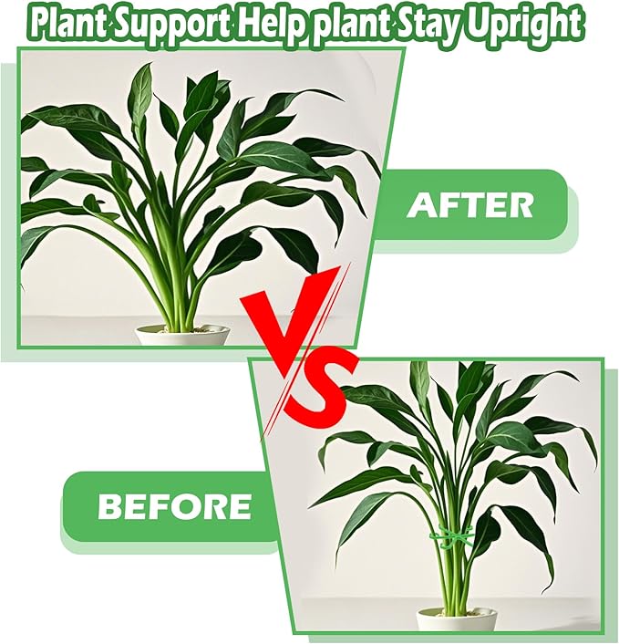 8pcs Plant Stem Support Climbing Houseplant Support Stakes for Indoor Plants Reusable Plastic Climbing Plant Support Plant Trellis Indoor Ideal Plant Support for Thriving Growth