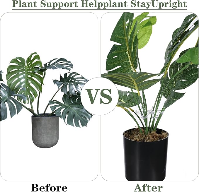 12 Pcs Climbing Houseplant Stem Supports, 4-Size Acrylic Plant Stem Holders Plants Stabilizers Plants Support Rings for Indoor Potted Climbing Frame Monstera(Transparent)
