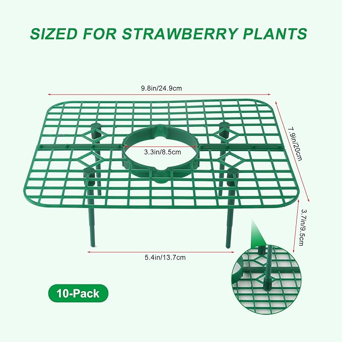 Strawberry Plant Support, 10 Pack, Raised Grid Stand to Keep Strawberries Off the Ground, Strawberry Holder for Garden Beds, Raised Planters & Pots (Square)