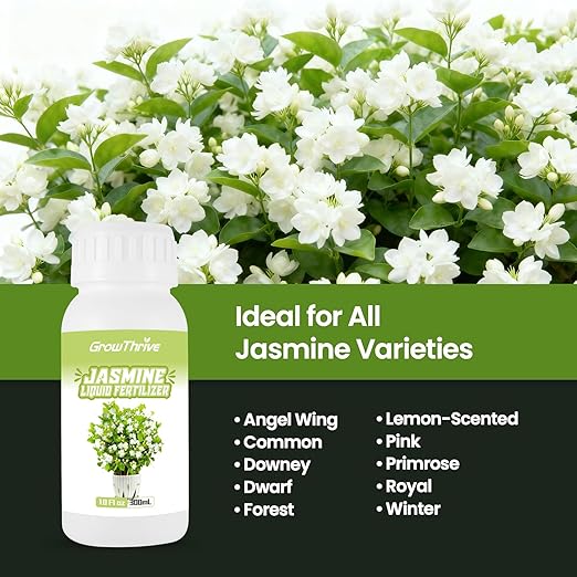 Jasmine Liquid Plant Food 10 oz – Organic Probiotic Liquid Fertilizer for Jasmine Plants, Natural Flower Food Concentrate – Promotes Growth, Green Leaves & White Blooms