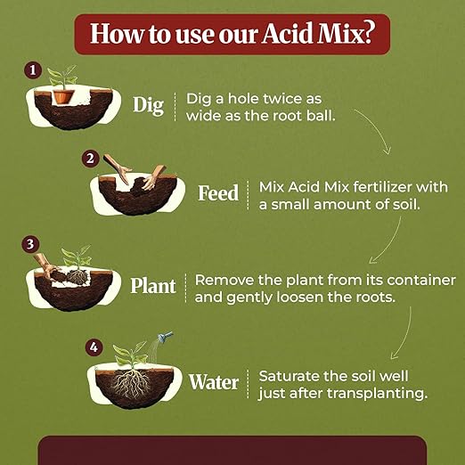 Down to Earth Organic Acid Mix 4-3-6 & Fruit Tree Fertilizer 6-2-4 Bundle | Nourishes Acid-Loving Plants & Fruit Trees | Organic Ingredients for Healthy Growth & Abundant Harvests | 5 LB Each