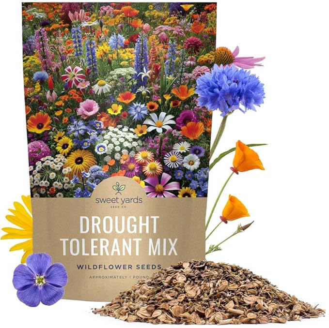 Drought Tolerant Wildflowers Mix – Bulk 1 Pound Bag – Over 120,000 Open Pollinated Non-GMO Seeds – 21 Different Dryland Species