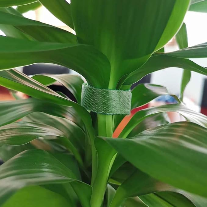 2Pcs Green Plant Tape Garden Tapes, 10ft Plant Ties Tape Garden Ties for Climbing Plants Adjustable for Plants Outside Plant Supports,Plant Support Structures