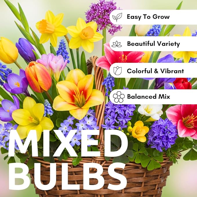 Complete Spring Flower Garden | 50 Fresh Bulbs | Bloom All Spring and Summer | Easy to Grow Flower Bulb, Indoor/Outdoor | Tulips, Daffodils, Crocus, Gladiolus - Living Gift