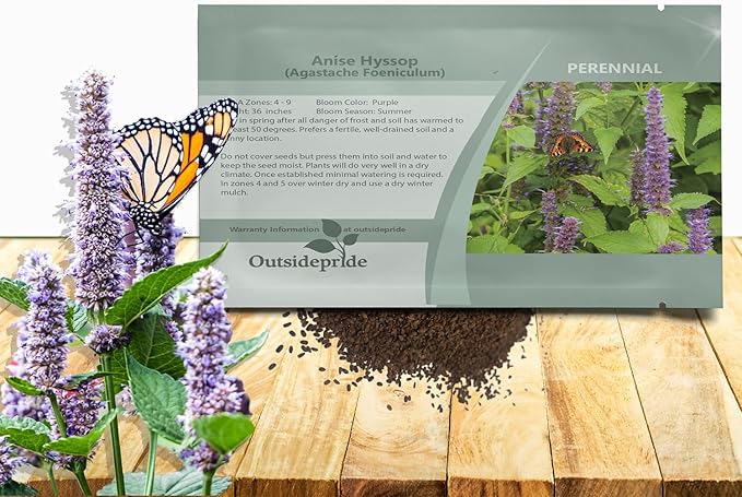 Outsidepride Purple Anise Hyssop Seeds for Planting - 10000 Pcs Perennial Herb Garden Seeds with Fragrant Blooms Attractive to Pollinators, for Small Gardens, Containers, & Xeriscaping
