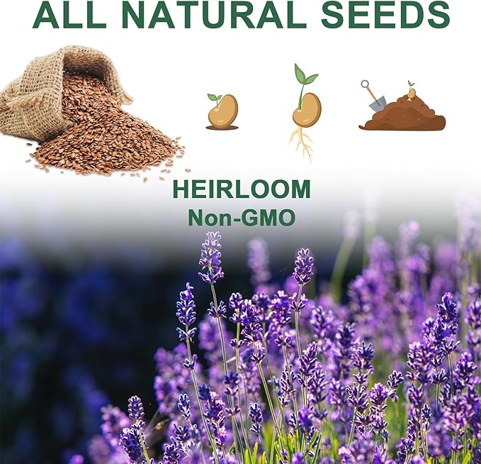 Lavender Seed Pod Kit, 8 Pod Kit (Include Seed Lavender/Chamomile/Holy Basil/Borage/Calendula/Mint) Fresh Tea Seed Pod Kit Compatible with Hydroponics