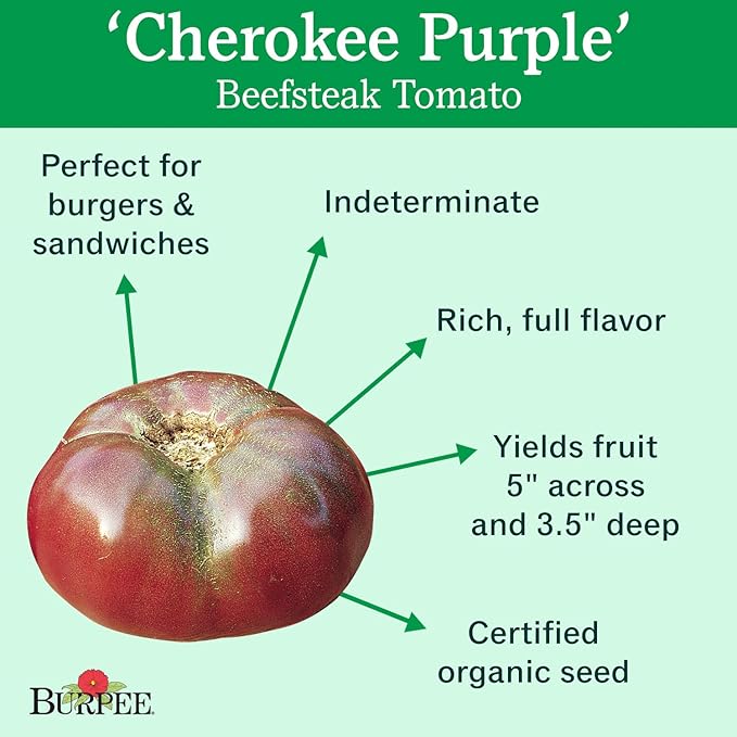 Burpee 'Cherokee Purple' Heirloom | Large Purple Slicing Tomato | Rich Flavor | 50 Seeds