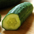 Park Seed Variety of Cucumber Seeds, Planting Cucumbers, Vegetable Seeds, Easy to Grow, Non-GMO, Perfect for Harvesting, Patio Snacker, Pack of 15