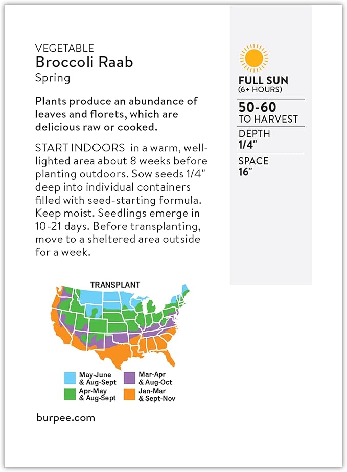 Burpee Spring Broccoli Seeds - Early and Reliable Production