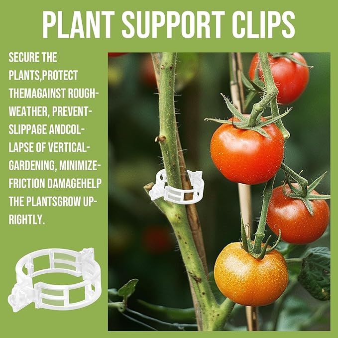 Plant Support Clips Plastic Tomato Clips Plant Clips for Climbing Plants Clear Grape Tomato Vine Trellis Clips for Garden Vegetables Plants Flower Grow Fixing (100, White)